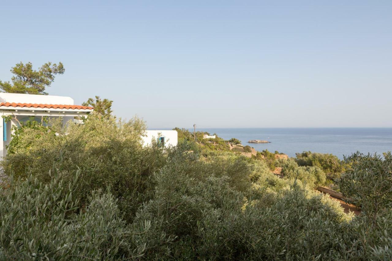 Ferma Hill Apartments Kültér fotó